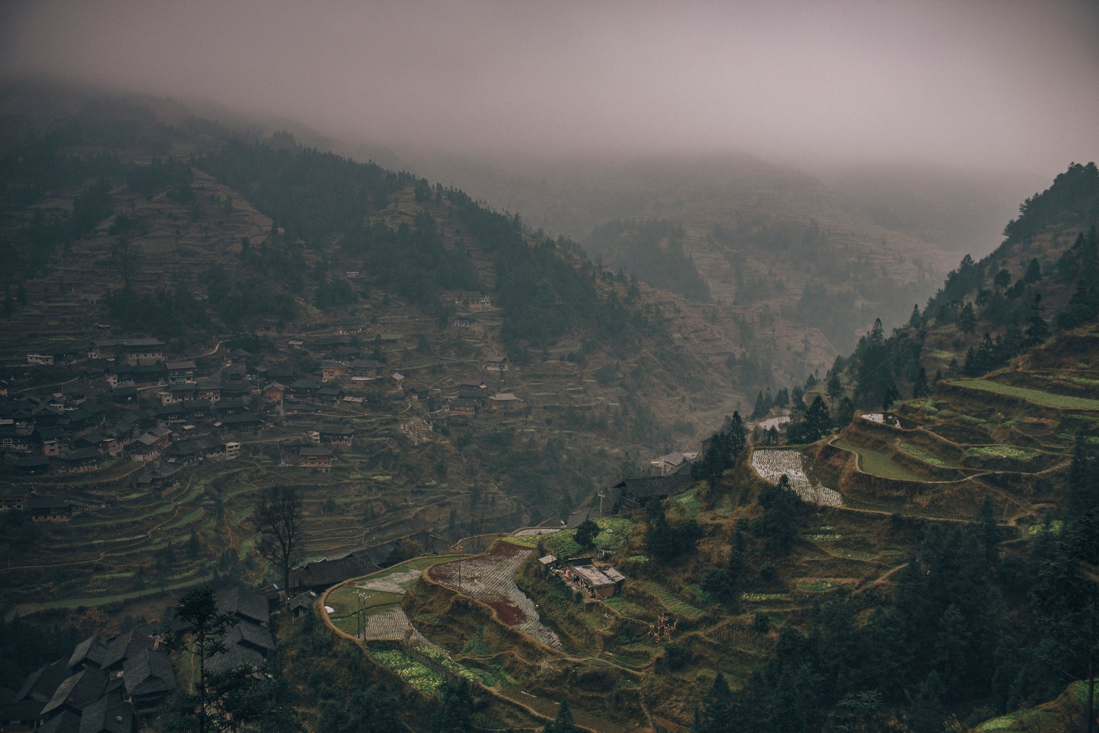 Rice Terraces