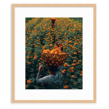 Load image into Gallery viewer, Marigold