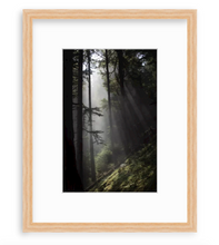 Load image into Gallery viewer, Tongass
