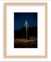 Load image into Gallery viewer, Lone Tree